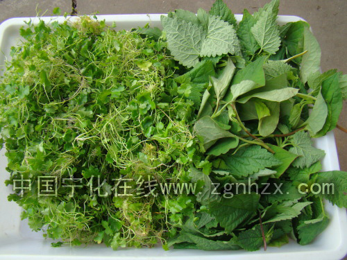 寧化非物質文化遺產之三：客家擂茶制作工藝