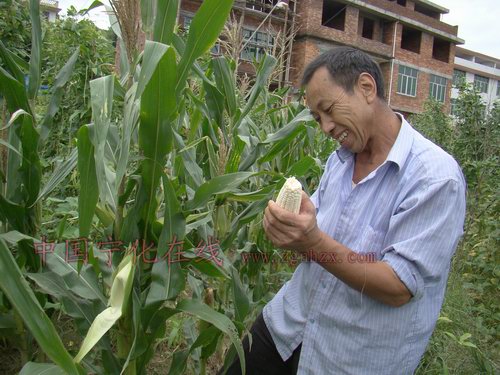 謝榮貴：農民代表為農民