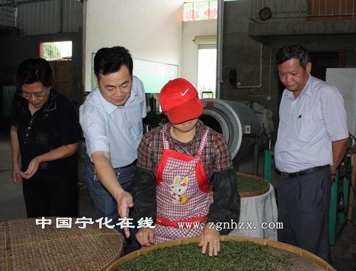 省供銷社主任陳則生到寧化調研