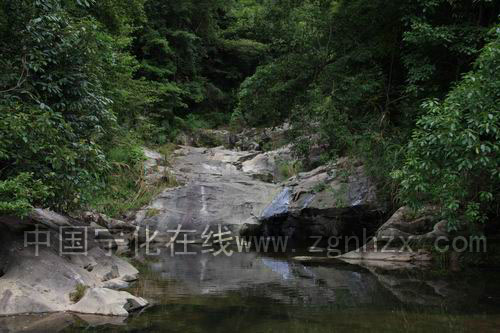 濟村龍頭溝：自然的風光迷人的景色