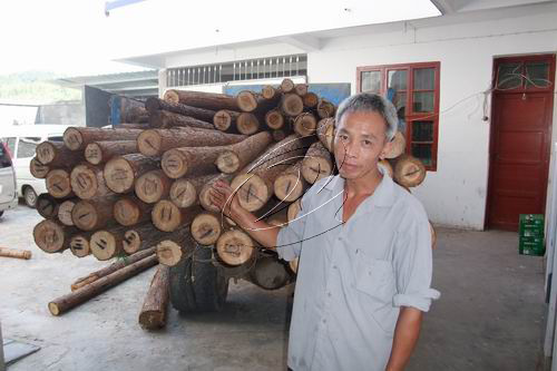 寧化森警“綠盾三號”專項行動取得階段性成果