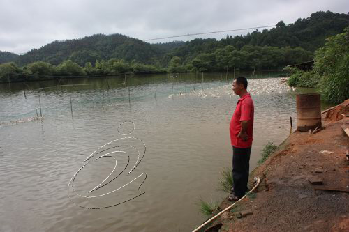 城南鄉(xiāng)12戶計(jì)生“二女戶”抱團(tuán)致富