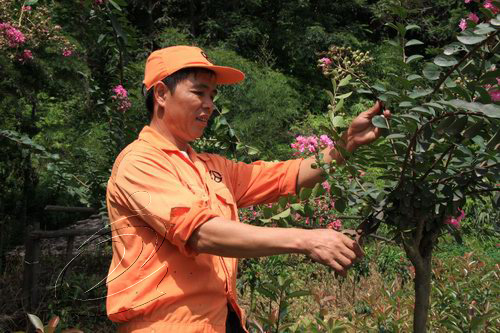 陳仕連：一顆閃光的鋪路石