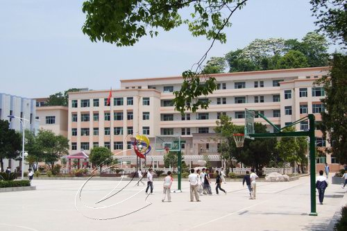 “精彩寧化”：教育事業(yè)欣欣向榮