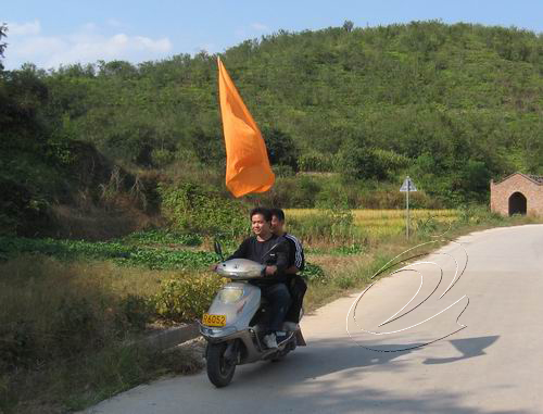 淮土鄉油茶適時采摘成習慣