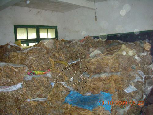 寧化搗毀一非法收購窩點 查獲煙葉1萬多公斤