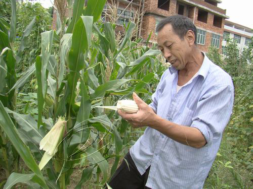 農(nóng)民謝榮貴：做人就應(yīng)該助人為樂