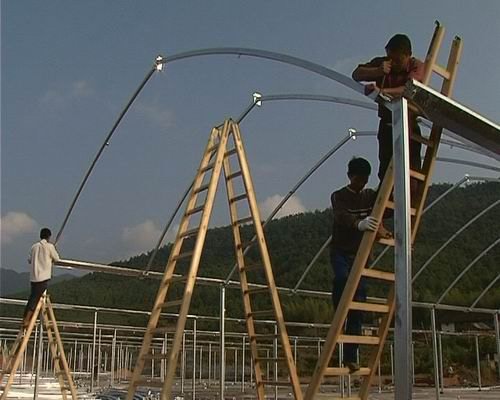 全市最大的溫室育苗工場開工建設