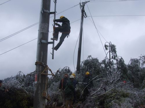 治平供電所全力搶修線路故障