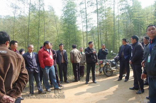 安樂鄉金鑫筍竹專業合作社揭牌