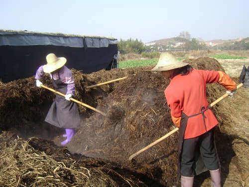 寧化縣城郊鄉(xiāng)千余勞力家門口就業(yè)