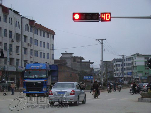 城區“紅綠燈”，你遵守了嗎？