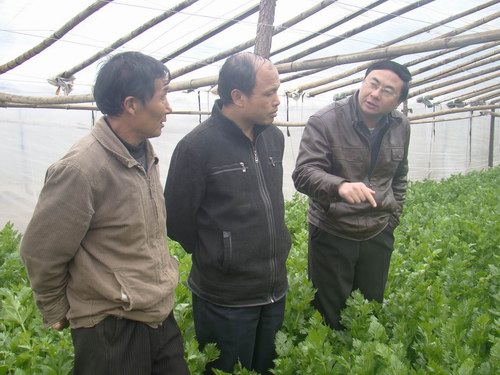 文明單位創(chuàng)建風(fēng)采⑥：寧化縣特色農(nóng)業(yè)產(chǎn)業(yè)初具規(guī)模