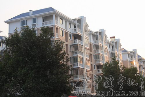 09年經濟工作回眸之五：惠民力度持續加大