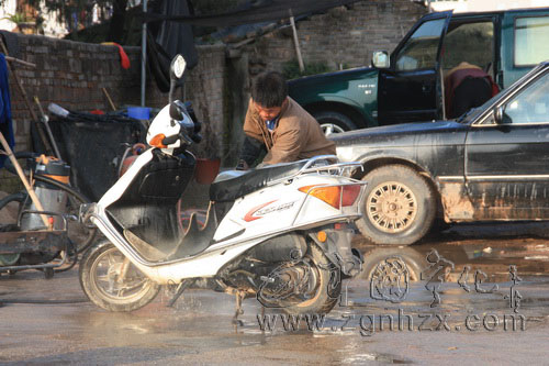 春節(jié)期間寧化城關(guān)洗車店發(fā)“虎威”