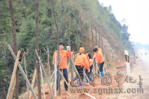 寧化：養(yǎng)路工為“綠色長廊”添新綠