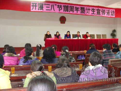 曹坊鄉(xiāng)計生講座慶“三八”