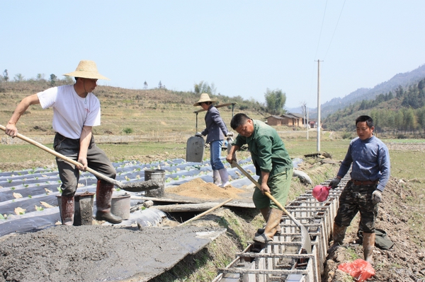 寧化中低產田改造備春耕