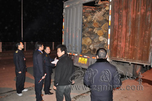 斬斷伸向森林的“黑手”