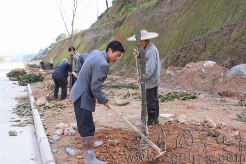 寧化縣超額完成造林任務