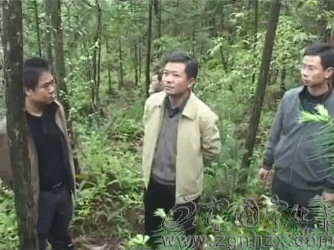 楊永生到安樂指導(dǎo)地質(zhì)災(zāi)害防治工作