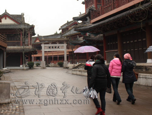 從小打小鬧到抱團發展