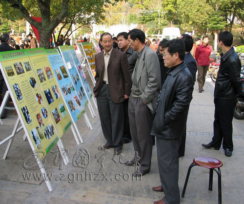 寧化首推“家庭平安代表人”制度