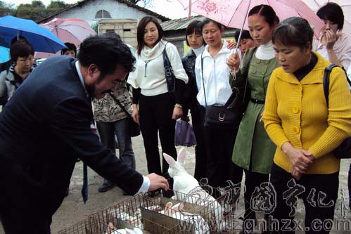 寧化農(nóng)村婦女獺兔養(yǎng)殖技術(shù)培訓(xùn)基地掛牌成立