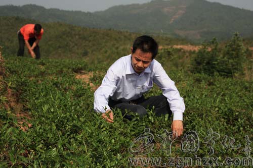 陳開勝：牽手外來師傅好致富
