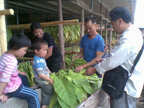 淮土鄉煙技員全天候為煙農服務