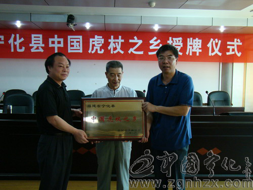 寧化：“中國虎杖之鄉”正式授牌