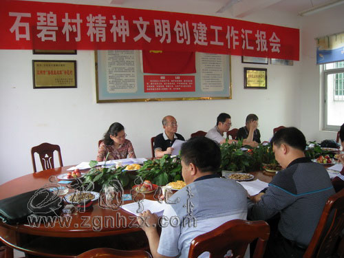 省考評組來寧開展全國文明村屆中復查