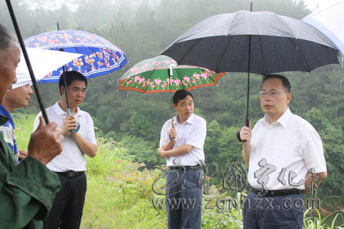 陳忠杰檢查防汛工作