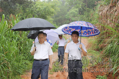 寧化全力抓好防汛抗災工作