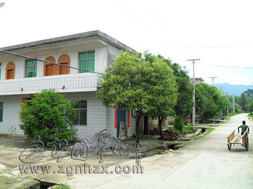 寧化新增2個省級環境優美鄉鎮和1個省級生態村