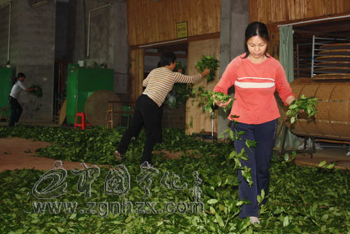 寧化縣產(chǎn)業(yè)調(diào)整振興有了新引擎