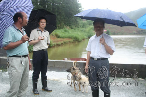 楊永生深入翠江鎮(zhèn)檢查指導(dǎo)防汛抗災(zāi)工作