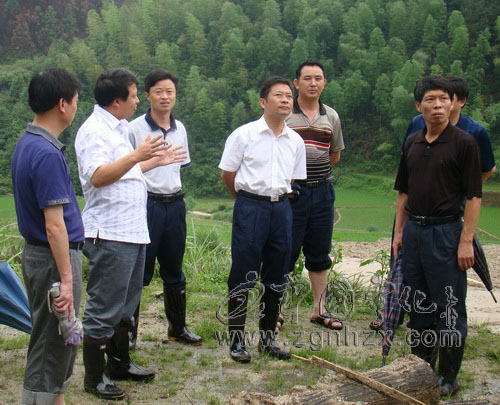 楊永生深入濟村方田檢查抗災救災工作