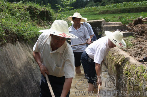 淮土：黨員下溝渠清淤2350米