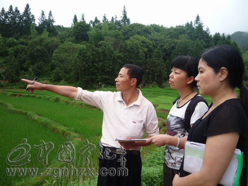 泉上鎮(zhèn)600余畝水稻受災(zāi)戶獲10萬(wàn)元理賠