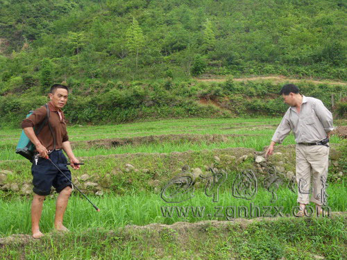 曹坊鄉56名農技員田頭指導災后生產