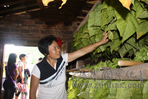 鏗鏘玫瑰，在抗洪戰場上綻放