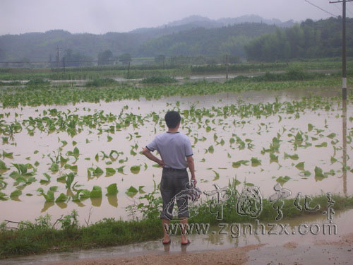 抗洪救災先鋒譜（8）：以責任的名義