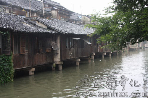 記者觀察：雨中游烏鎮