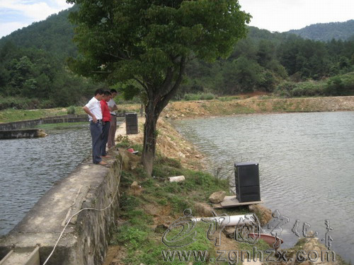 寧化：260萬尾魚苗入塘進場