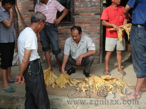 先鋒譜⑾：一種責任  兩份牽掛