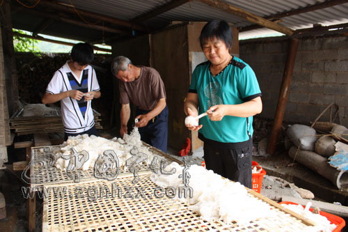 鄉官“脫鞋下田” 帶頭種竹蓀