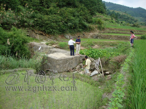 寧化恢復灌溉面積10萬余畝