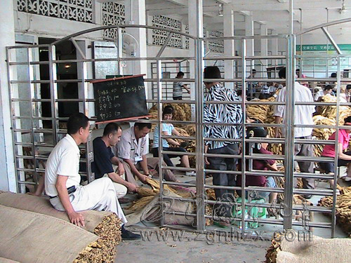 泉上鎮認真打好煙葉收購攻堅戰