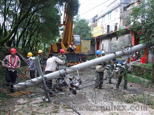 寧化：狂風(fēng)吹倒大樹壓斷電桿　連夜搶修恢復(fù)供電